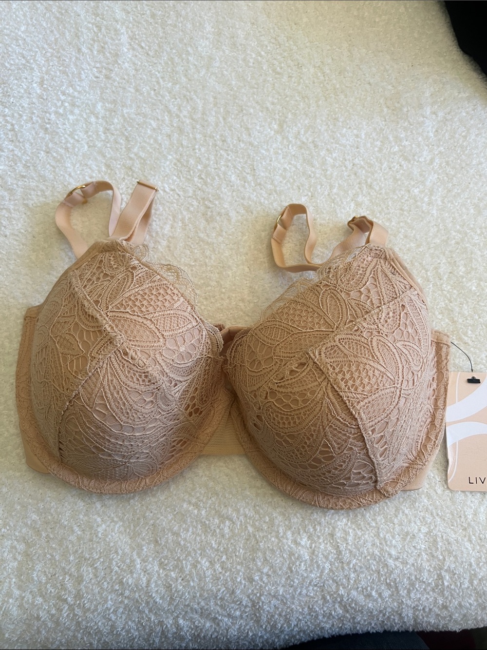Lively Lace Underwire Bra in Blush